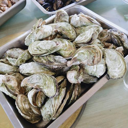 披风少年爱妈妈露脸视频精选